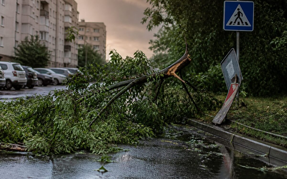 ANM a emis Cod portocaliu de furtuni în mai multe județe, cu rafale de 80 km/h. Ce riscuri aduce alerta imediată