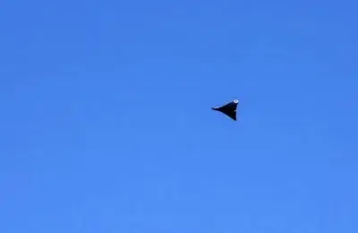 Dronă prăbușită și explodată în Tulcea. Aparatul a fost filmat deasupra satului Răchelu