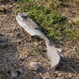 drone litoral, Mai multe resturi de drone au fost găsite pe litoral. Gestul care trebuie evitat imediat pe plajă
