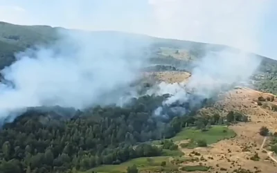Pompierii au stins incendiul de 47 de hectare din Valea Bolvașnița. Focarele continuă la Lindenfeld