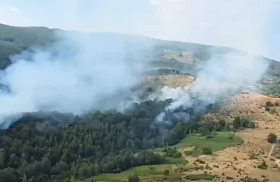 Pompierii au stins incendiul de 47 de hectare din Valea Bolvașnița. Focarele continuă la Lindenfeld