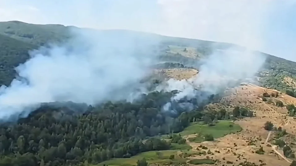 Pompierii au stins incendiul de 47 de hectare din Valea Bolvașnița. Focarele continuă la Lindenfeld
