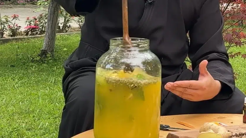 limonada deparazitare