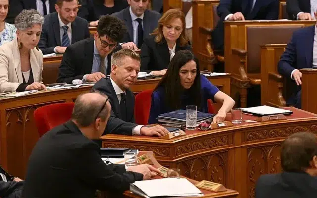 presedinte Ungaria