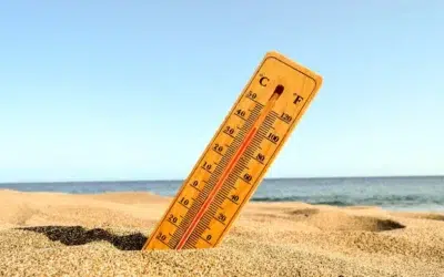 Canicula continua in Romania pana la sfarsitul lunii august. ANM anunta prognoza
