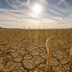 Europa inregistreaza o temperatura medie de 21,62 grade Celsius. Seceta afecteaza direct Romania