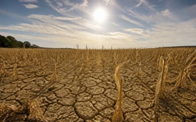 Europa inregistreaza o temperatura medie de 21,62 grade Celsius. Seceta afecteaza direct Romania