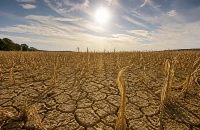Europa inregistreaza o temperatura medie de 21,62 grade Celsius. Seceta afecteaza direct Romania
