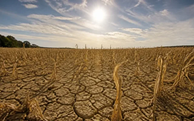 temperatura medie Europa seceta