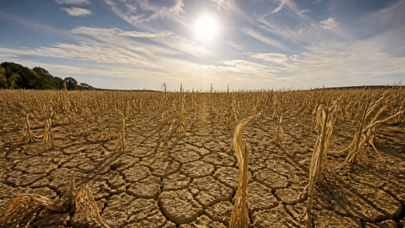Europa inregistreaza o temperatura medie de 21,62 grade Celsius. Seceta afecteaza direct Romania