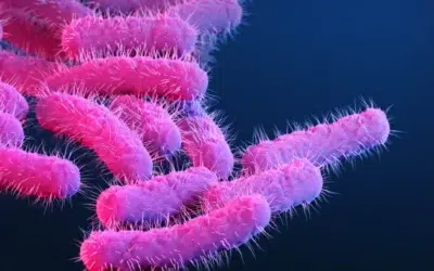 Vaccinul WRSs2 previne 89% din infectiile cu Shigella. Tratamentul salveaza copiii sub 5 ani