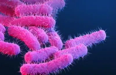 Vaccinul WRSs2 previne 89% din infectiile cu Shigella. Tratamentul salveaza copiii sub 5 ani