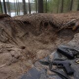 Vadym Shcherbakov, Germania pregătește extrădarea ucraineanului arestat la București, după ce 2 pistoale și muniție au fost
