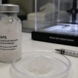 biomaterialul MAPS, După un AVC ischemic, țesutul pierdut nu poate fi înlocuit acum. Un tratament testat la șoareci încearcă