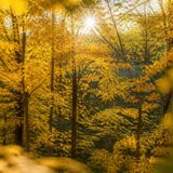 ANM anunță temperaturi apropiate de normal până pe 5 octombrie și cod galben de vânt pe 6 septembrie