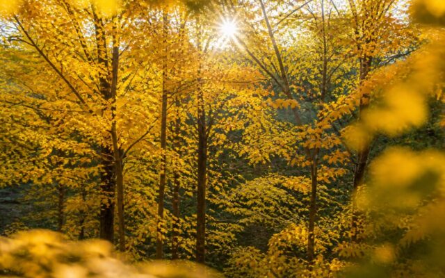 ANM anunță temperaturi apropiate de normal până pe 5 octombrie și cod galben de vânt pe 6 septembrie