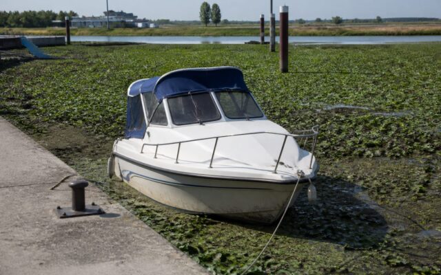 Debitul Dunării în portul Corabia