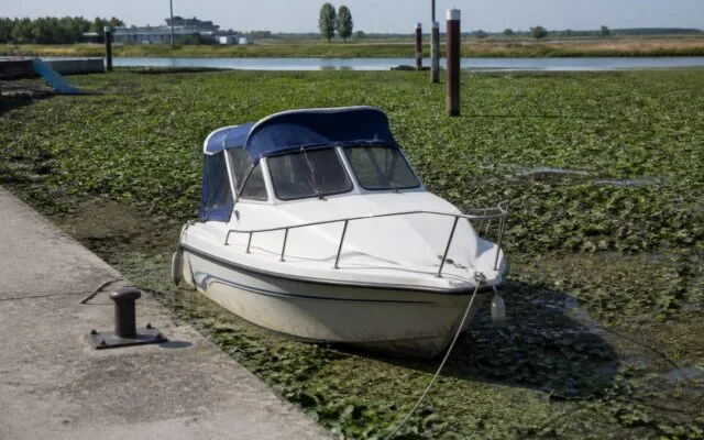 Debitul Dunării în portul Corabia