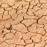 Sol afectat de seceta din 2025