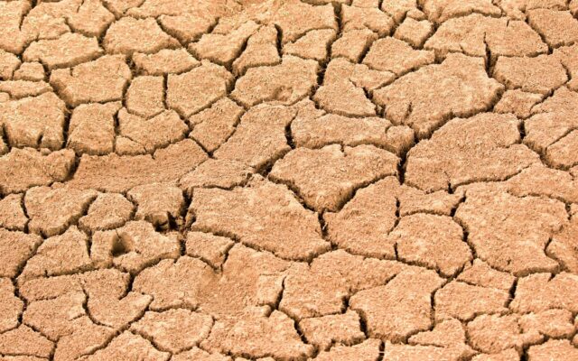 Sol afectat de seceta din 2025