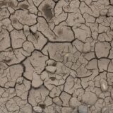 Sol arid pe malul Dunării