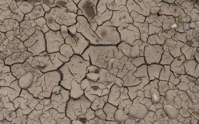 Sol arid pe malul Dunării
