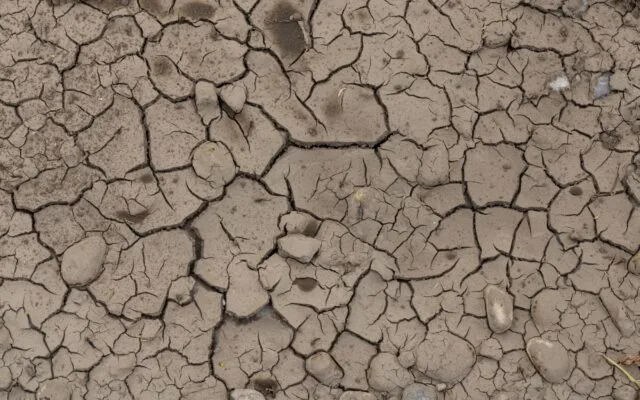 Sol arid pe malul Dunării
