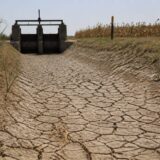 OMM estimează o probabilitate de aproape 100% ca El Niño să dureze până în februarie. Ce efecte sunt deja vizibile