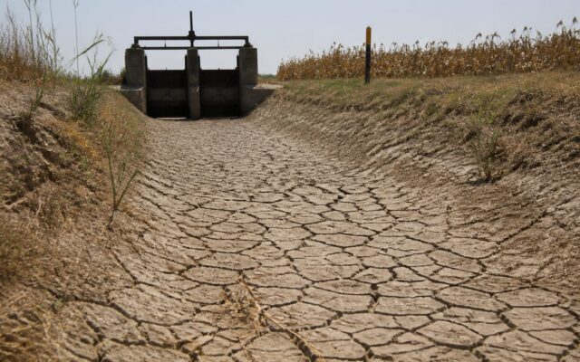 OMM estimează o probabilitate de aproape 100% ca El Niño să dureze până în februarie. Ce efecte sunt deja vizibile