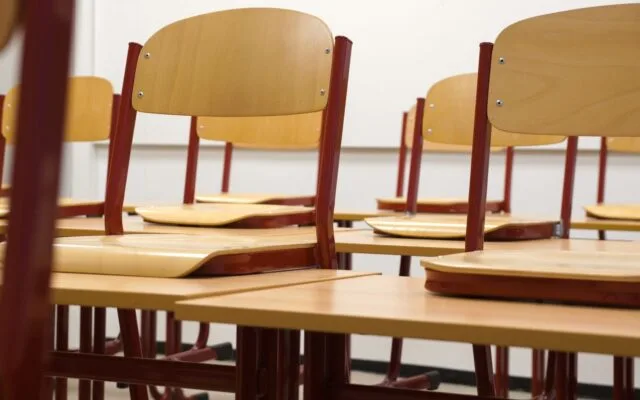 Norme ocupate de personal fără studii