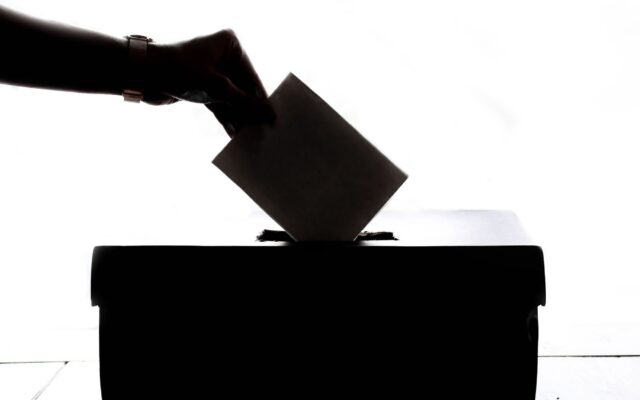 Prezențe la vot falsificate