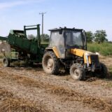 Producția de cartofi din România, România trece de 1.500.000 de tone de cartofi, dar consumatorii plătesc 6-8 lei kilogramul
