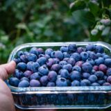 Sursă naturală de pterostilben