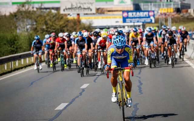 Cicliști în timpul competiției rutiere