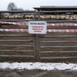 Al doilea focar de variolă ovină confirmat în Buzău. Ferma din Luciu cu 600 de oi intră în asanare
