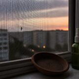 virusul West Nile, Trei vârstnici cu comorbidități au murit după infecția cu West Nile în România. Bucureștiul concentrează