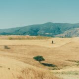 Peisaj arid în cea mai caldă vară