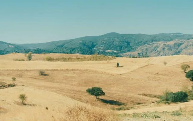 Peisaj arid în cea mai caldă vară