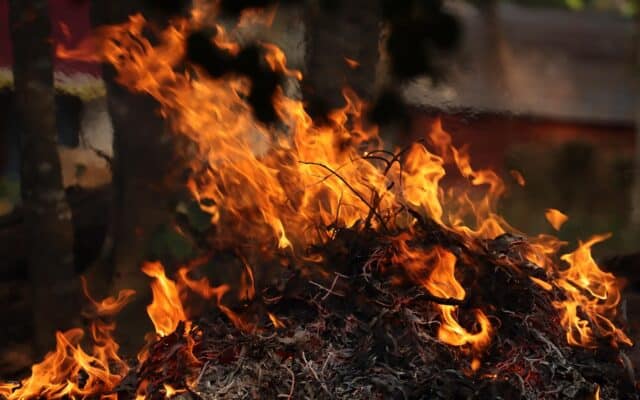 Frunzele și crengile de aruncat, arse în curte, pot aduce amenzi de până la 45.000 de lei
