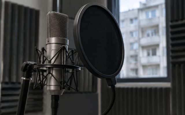 Microfon de studio profesional
