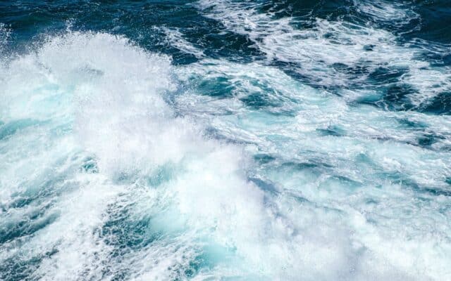 Efectele încălzirii oceanelor globale