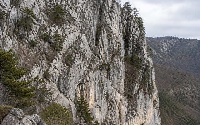 Versanți stâncoși din National Park