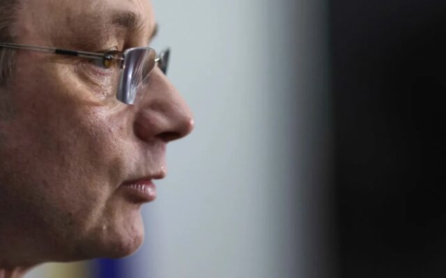 Luca Niculescu, fotografiat din profil