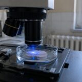 Echipament de optogenetică