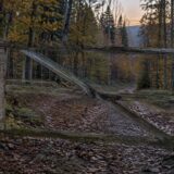 Poartă în pădure din Maramureș