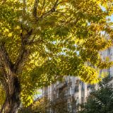 Prognoză meteo în Bucharest în October