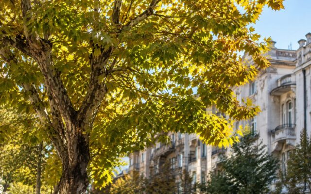 Prognoză meteo în Bucharest în October