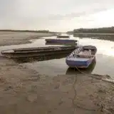 Debitul Dunării la cote alarmante