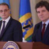 Reprezentanți ai guvernului mixt