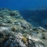 Posibilă legătură de uscat în Mediterranean